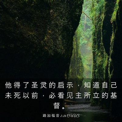 Picture 03 - 路 加 福 音 2:26 CUVS - 他 得 了 圣 灵 的 启 示 ， 知 道 自 - Bible Verse Picture
