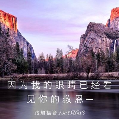 Picture 03 - 路 加 福 音 2:30 CUVS - 因 为 我 的 眼 睛 已 经 看 见 你 的 - Bible Verse Picture