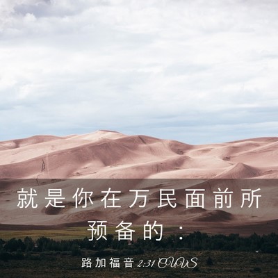 Picture 03 - 路 加 福 音 2:31 CUVS - 就 是 你 在 万 民 面 前 所 预 备 的 - Bible Verse Picture