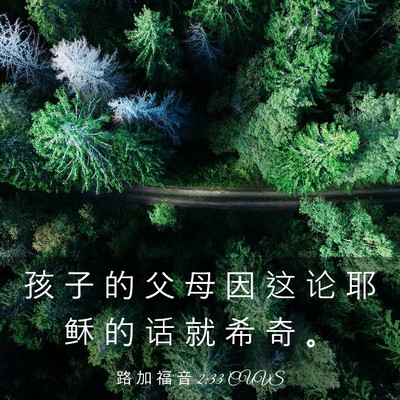 Picture 03 - 路 加 福 音 2:33 CUVS - 孩 子 的 父 母 因 这 论 耶 稣 的 话 - Bible Verse Picture
