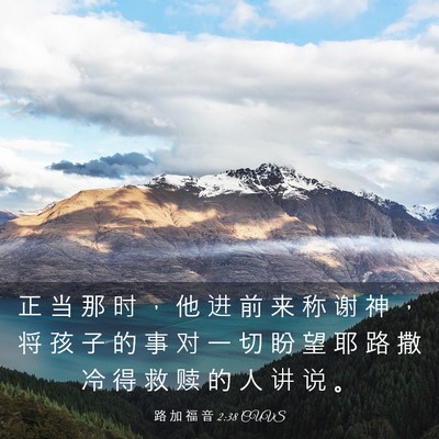Picture 03 - 路 加 福 音 2:38 CUVS - 正 当 那 时 ， 他 进 前 来 称 谢 神 - Bible Verse Picture