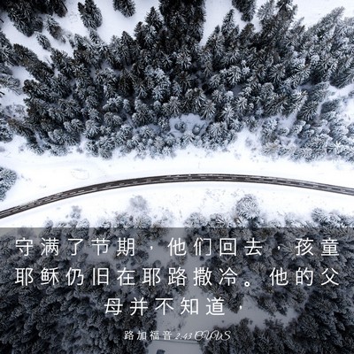 Picture 03 - 路 加 福 音 2:43 CUVS - 守 满 了 节 期 ， 他 们 回 去 ， 孩 - Bible Verse Picture