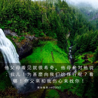 Picture 03 - 路 加 福 音 2:48 CUVS - 他 父 母 看 见 就 很 希 奇 。 他 母 - Bible Verse Picture