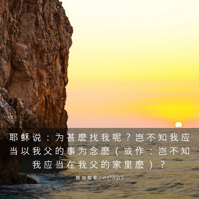 Picture 03 - 路 加 福 音 2:49 CUVS - 耶 稣 说 ： 为 甚 麽 找 我 呢 ？ 岂 - Bible Verse Picture