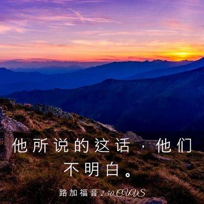 Picture 03 - 路 加 福 音 2:50 CUVS - 他 所 说 的 这 话 ， 他 们 不 明 白 - Bible Verse Picture