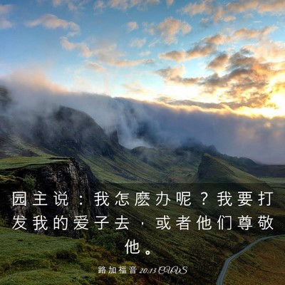 Picture 03 - 路 加 福 音 20:13 CUVS - 园 主 说 ： 我 怎 麽 办 呢 ？ 我 要 - Bible Verse Picture