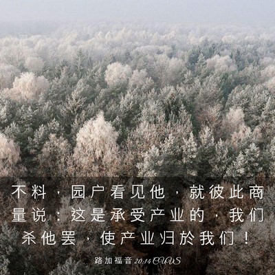 Picture 03 - 路 加 福 音 20:14 CUVS - 不 料 ， 园 户 看 见 他 ， 就 彼 此 - Bible Verse Picture