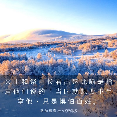 Picture 03 - 路 加 福 音 20:19 CUVS - 文 士 和 祭 司 长 看 出 这 比 喻 是 - Bible Verse Picture