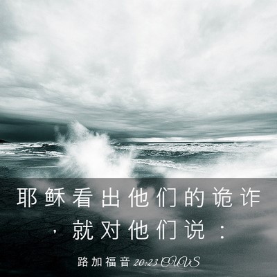 Picture 03 - 路 加 福 音 20:23 CUVS - 耶 稣 看 出 他 们 的 诡 诈 ， 就 对 - Bible Verse Picture