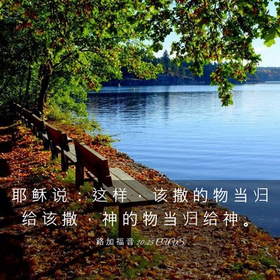 Picture 03 - 路 加 福 音 20:25 CUVS - 耶 稣 说 ： 这 样 ， 该 撒 的 物 当 - Bible Verse Picture