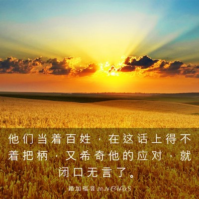 Picture 03 - 路 加 福 音 20:26 CUVS - 他 们 当 着 百 姓 ， 在 这 话 上 得 - Bible Verse Picture