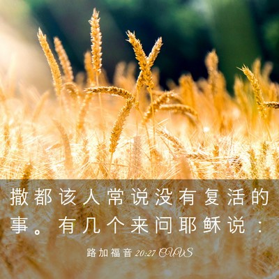 Picture 03 - 路 加 福 音 20:27 CUVS - 撒 都 该 人 常 说 没 有 复 活 的 事 - Bible Verse Picture