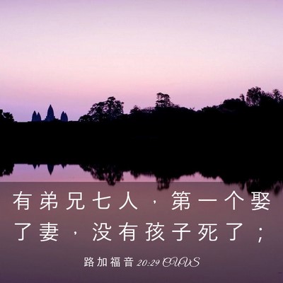 Picture 03 - 路 加 福 音 20:29 CUVS - 有 弟 兄 七 人 ， 第 一 个 娶 了 妻 - Bible Verse Picture