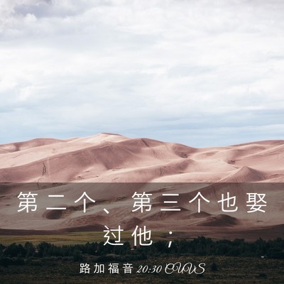 Picture 03 - 路 加 福 音 20:30 CUVS - 第 二 个 、 第 三 个 也 娶 过 他 - Bible Verse Picture