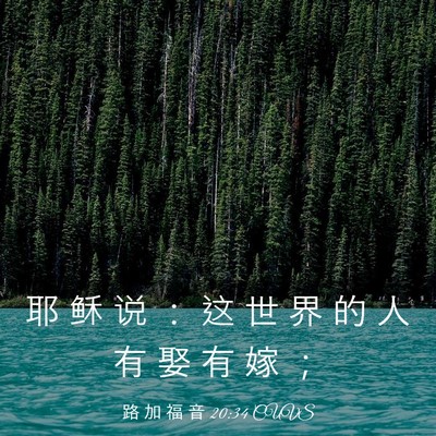 Picture 03 - 路 加 福 音 20:34 CUVS - 耶 稣 说 ： 这 世 界 的 人 有 娶 有 - Bible Verse Picture