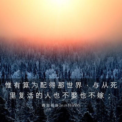 Picture 03 - 路 加 福 音 20:35 CUVS - 惟 有 算 为 配 得 那 世 界 ， 与 从 - Bible Verse Picture