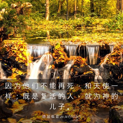 Picture 03 - 路 加 福 音 20:36 CUVS - 因 为 他 们 不 能 再 死 ， 和 天 使 - Bible Verse Picture