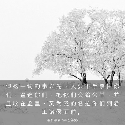 Picture 03 - 路 加 福 音 21:12 CUVS - 但 这 一 切 的 事 以 先 ， 人 要 下 - Bible Verse Picture