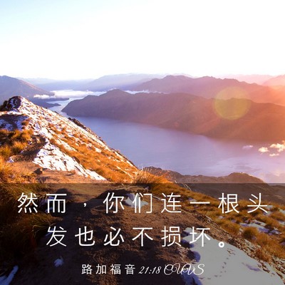 Picture 03 - 路 加 福 音 21:18 CUVS - 然 而 ， 你 们 连 一 根 头 发 也 必 - Bible Verse Picture