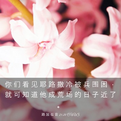 Picture 03 - 路 加 福 音 21:20 CUVS - 你 们 看 见 耶 路 撒 冷 被 兵 围 困 - Bible Verse Picture