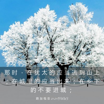 Picture 03 - 路 加 福 音 21:21 CUVS - 那 时 ， 在 犹 太 的 应 当 逃 到 山 - Bible Verse Picture