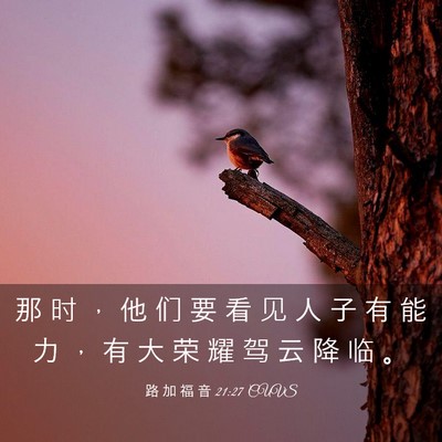 Picture 03 - 路 加 福 音 21:27 CUVS - 那 时 ， 他 们 要 看 见 人 子 有 能 - Bible Verse Picture