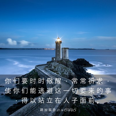 Picture 03 - 路 加 福 音 21:36 CUVS - 你 们 要 时 时 儆 醒 ， 常 常 祈 求 - Bible Verse Picture