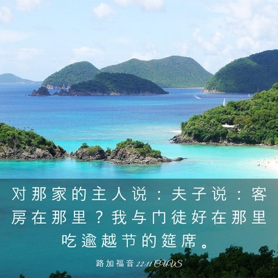 Picture 03 - 路 加 福 音 22:11 CUVS - 对 那 家 的 主 人 说 ： 夫 子 说 ： - Bible Verse Picture