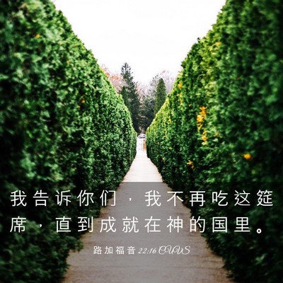Picture 03 - 路 加 福 音 22:16 CUVS - 我 告 诉 你 们 ， 我 不 再 吃 这 筵 - Bible Verse Picture