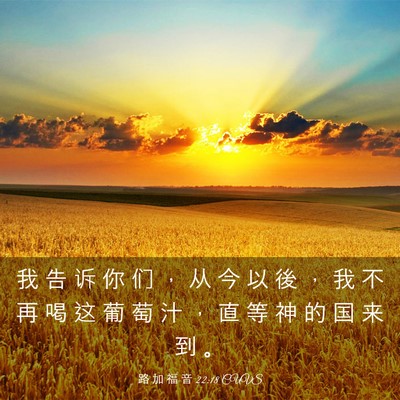 Picture 03 - 路 加 福 音 22:18 CUVS - 我 告 诉 你 们 ， 从 今 以 後 ， 我 - Bible Verse Picture