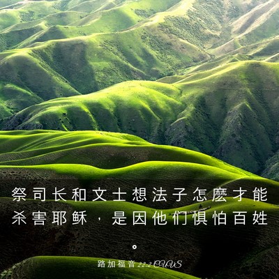 Picture 03 - 路 加 福 音 22:2 CUVS - 祭 司 长 和 文 士 想 法 子 怎 麽 才 - Bible Verse Picture