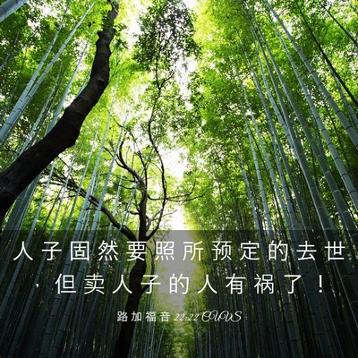 Picture 03 - 路 加 福 音 22:22 CUVS - 人 子 固 然 要 照 所 预 定 的 去 世 - Bible Verse Picture