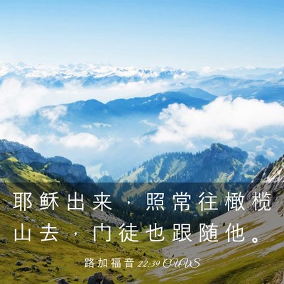 Picture 03 - 路 加 福 音 22:39 CUVS - 耶 稣 出 来 ， 照 常 往 橄 榄 山 去 - Bible Verse Picture