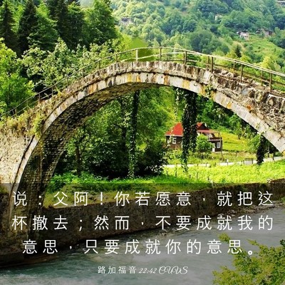 Picture 03 - 路 加 福 音 22:42 CUVS - 说 ： 父 阿 ！ 你 若 愿 意 ， 就 把 - Bible Verse Picture