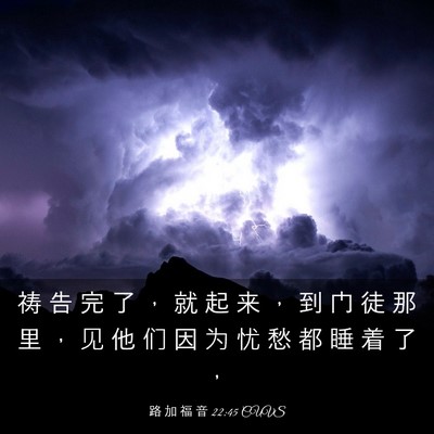 Picture 03 - 路 加 福 音 22:45 CUVS - 祷 告 完 了 ， 就 起 来 ， 到 门 徒 - Bible Verse Picture
