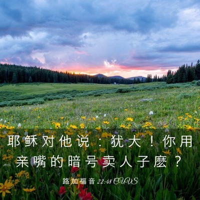 Picture 03 - 路 加 福 音 22:48 CUVS - 耶 稣 对 他 说 ： 犹 大 ！ 你 用 亲 - Bible Verse Picture
