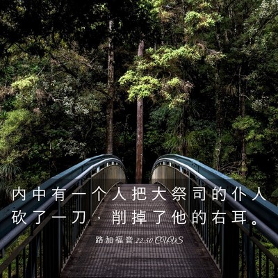 Picture 03 - 路 加 福 音 22:50 CUVS - 内 中 有 一 个 人 把 大 祭 司 的 仆 - Bible Verse Picture