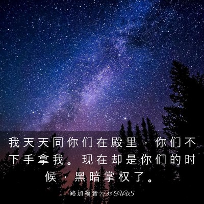 Picture 03 - 路 加 福 音 22:53 CUVS - 我 天 天 同 你 们 在 殿 里 ， 你 们 - Bible Verse Picture