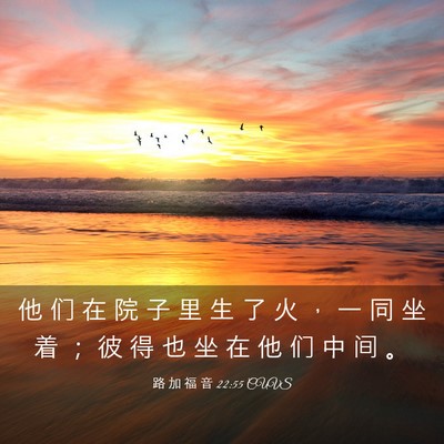 Picture 03 - 路 加 福 音 22:55 CUVS - 他 们 在 院 子 里 生 了 火 ， 一 同 - Bible Verse Picture