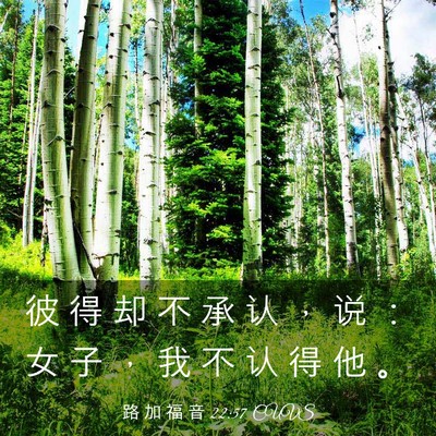 Picture 03 - 路 加 福 音 22:57 CUVS - 彼 得 却 不 承 认 ， 说 ： 女 子 ， - Bible Verse Picture
