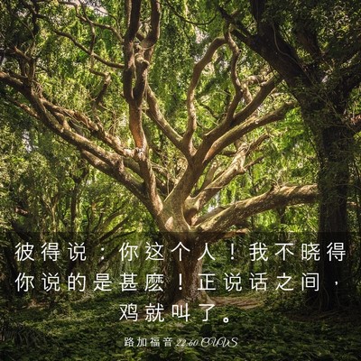 Picture 03 - 路 加 福 音 22:60 CUVS - 彼 得 说 ： 你 这 个 人 ！ 我 不 晓 - Bible Verse Picture