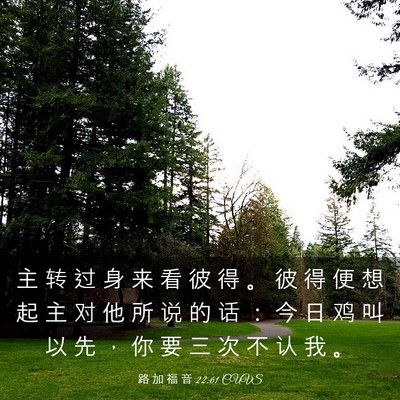 Picture 03 - 路 加 福 音 22:61 CUVS - 主 转 过 身 来 看 彼 得 。 彼 得 便 - Bible Verse Picture