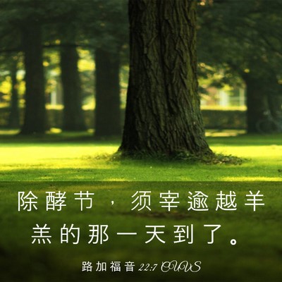 Picture 03 - 路 加 福 音 22:7 CUVS - 除 酵 节 ， 须 宰 逾 越 羊 羔 的 那 - Bible Verse Picture