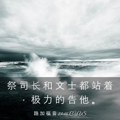 Picture 03 - 路 加 福 音 23:10 CUVS - 祭 司 长 和 文 士 都 站 着 ， 极 力 - Bible Verse Picture