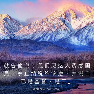 Picture 03 - 路 加 福 音 23:2 CUVS - 就 告 他 说 ： 我 们 见 这 人 诱 惑 - Bible Verse Picture