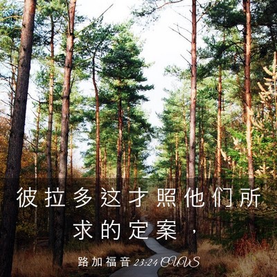 Picture 03 - 路 加 福 音 23:24 CUVS - 彼 拉 多 这 才 照 他 们 所 求 的 定 - Bible Verse Picture