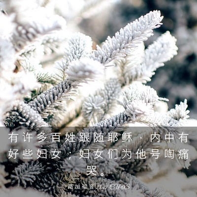 Picture 03 - 路 加 福 音 23:27 CUVS - 有 许 多 百 姓 跟 随 耶 稣 ， 内 中 - Bible Verse Picture