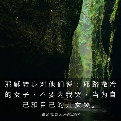 Picture 03 - 路 加 福 音 23:28 CUVS - 耶 稣 转 身 对 他 们 说 ： 耶 路 撒 - Bible Verse Picture