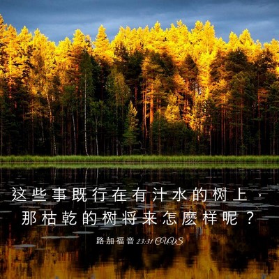 Picture 03 - 路 加 福 音 23:31 CUVS - 这 些 事 既 行 在 有 汁 水 的 树 上 - Bible Verse Picture