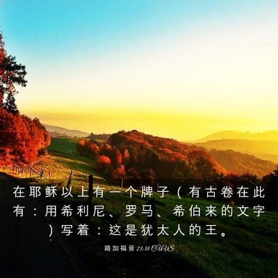 Picture 03 - 路 加 福 音 23:38 CUVS - 在 耶 稣 以 上 有 一 个 牌 子 （ 有 - Bible Verse Picture